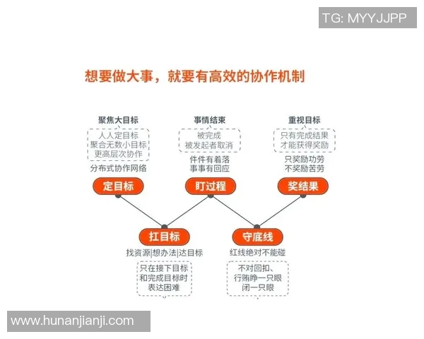 打造高效协作团队的关键策略与实践经验分享