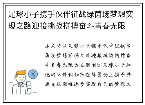 足球小子携手伙伴征战绿茵场梦想实现之路迎接挑战拼搏奋斗青春无限